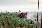 The Field: Armored Cavalry in Vietnam, 3/4 Cav, 25th Infantry Division