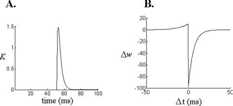 Functions for postsynaptic potential and long-term potentiation. A ...