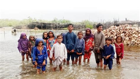 The Citizens Foundation launches Flood Relief Appeal in response to Pakistan Floods – Daily The Azb