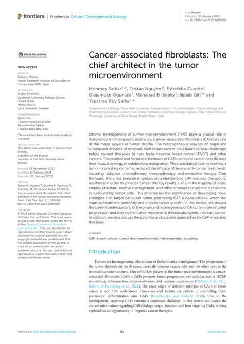 (PDF) Cancer-associated fibroblasts: The chief architect in the tumor microenvironment