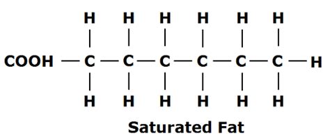 The skinny on saturated fats