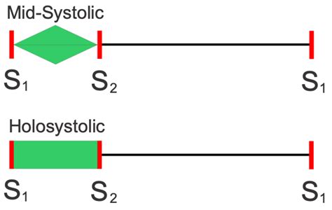 CV Physiology | Systolic and Diastolic Murmurs