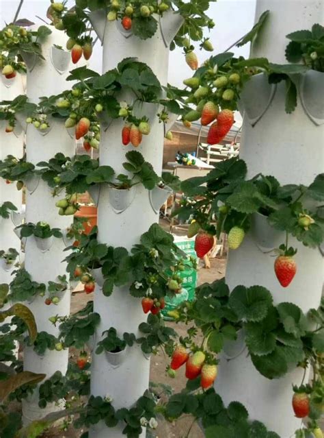 Factory Supplying Vegetable Strawberry Tower Hydroponics Vertical Tower ...