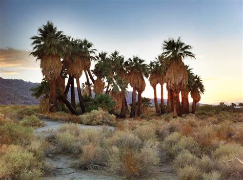 8th Street, 8th St, Twentynine Palms, CA, USA Sunrise Sunset Times