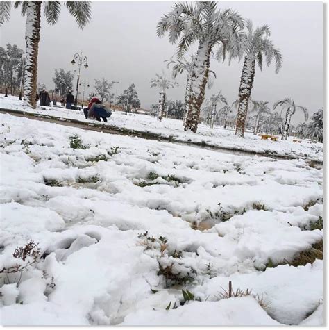 Heavy snowfall for Saudi Arabia (VIDEOS) -- Earth Changes -- Sott.net