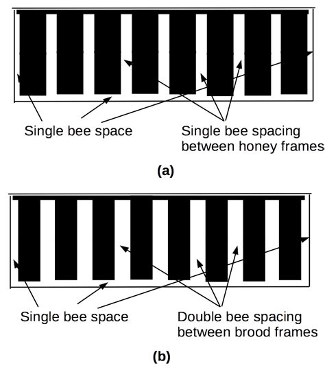 Bee Buzz Box July 2020 - Bee Space - ACT Beekeepers Association