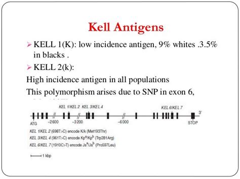 Kell blood group system