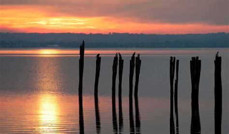 French Island National Park