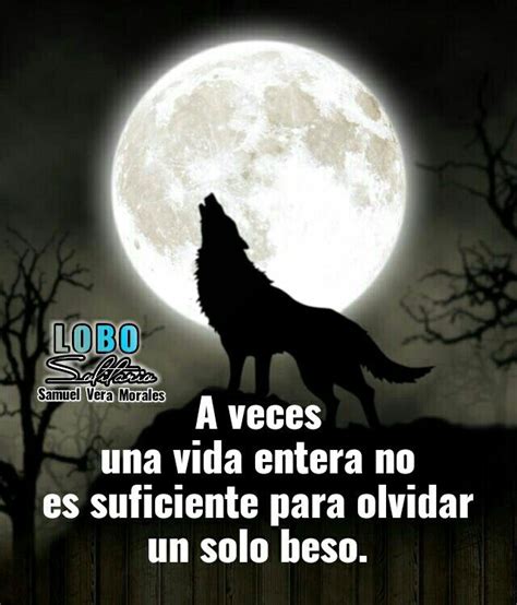 Lobo Solitario en 2022 | No te puedo olvidar, Lobo solitario, Olvidar