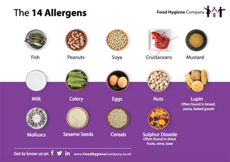 Food Allergen Poster: FHC Free Resources | FHC Blog