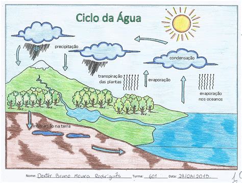 Mapa Mental Ciclo Da Agua - BRAINCP