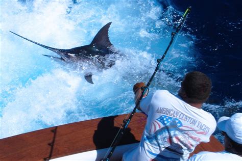 Samana Deep Sea Fishing • DDD Sport Fishing in Samana Bay Dominican Republic