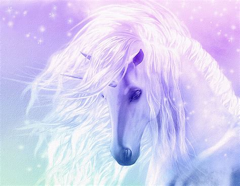 Beautiful Fantasy Unicorn flowing mane pink CANVAS ART ...