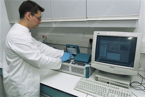 Forensic DNA analysis - Stock Image - H200/0494 - Science Photo Library