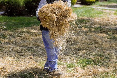 Pine Straw Installation | Laying Pine Straw in Foley