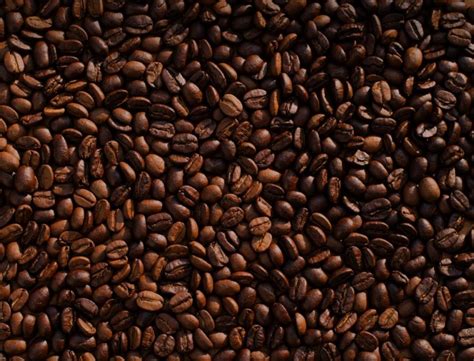 How Much Do You Know About Jamaican Blue Mountain Coffee?