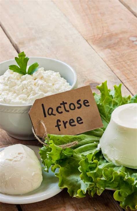 10 Best Lactose Free Protein Powders (2019 Review Updated)