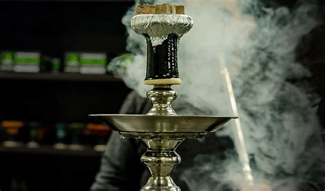 Choosing the Best Hookah Coals: A Buyer's Guide - Magazines Weekly ...