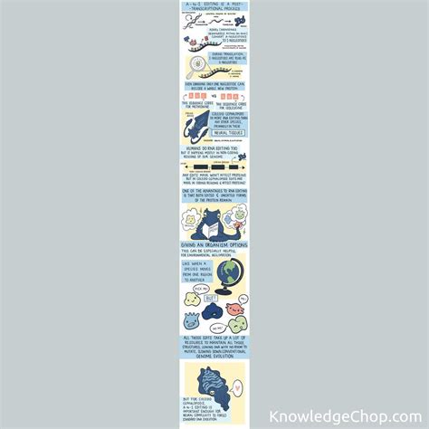 Guide explaining RNA Editing in Coleoid Cephalopods (octopuses, squid, and cuttlefish) | 🥷 ...