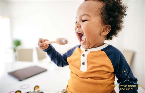 What can I do to prevent my toddler from overeating? - The Little Dreamers Nursery