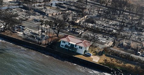 Little red house goes viral after surviving Maui fires due to one ...