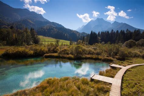 Visit And Explore The Zelenci Nature Reserve In Kranjska Gora, Slovenia