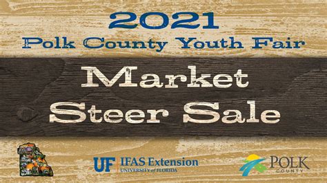 2021 Market Steer Sale - Polk County Youth Fair - YouTube