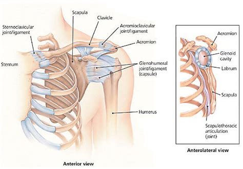 Shoulder Rehab Exercises | Shoulder Rehabilitation | Indianapolis ...