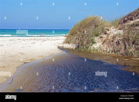 Beach at Torre Guaceto, Puglia, Italy Stock Photo - Alamy