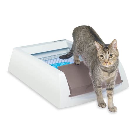 Best crystal cat litter for automatic litter box - lottaste