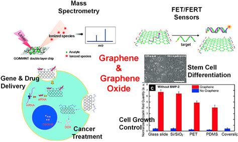 Biomedical applications of graphene and graphene oxide ( Reproduced... | Download Scientific Diagram