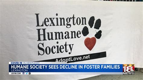 Lexington Humane Society in need of foster families