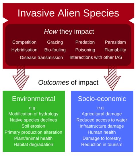 Difference Between Exotic And Invasive Species Definition,, 44% OFF