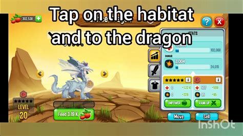 How To Put DRAGONS In The DRAGONARIUM (Dragon City) - YouTube