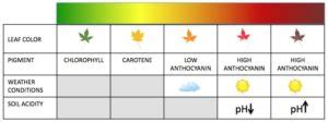 leaf-color-chart | TheModern Farm