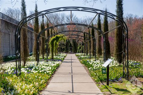 Fun Things To Do: Cheekwood Estate and Gardens | Nashville Guru