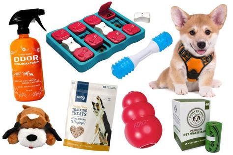 Choose HiPet for the durable and reliable pet care products - Stars Fact