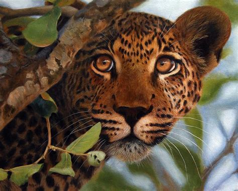 Leopard Painting / Print - Wildlife Art by Jason Morgan | Wildlife art ...