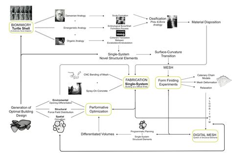 hybridbiostructures: Workflow Diagram / Timeline