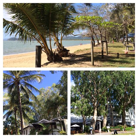 Palm Cove North QLD. A fantastic caravan park for the camping families and heaps of apartments ...