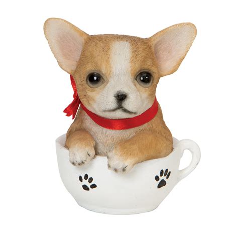 Teacup Puppies - Chihuahua | Bits and Pieces