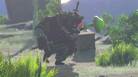 Boss Bokoblin - The Legend of Zelda: Tears of the Kingdom Guide - IGN