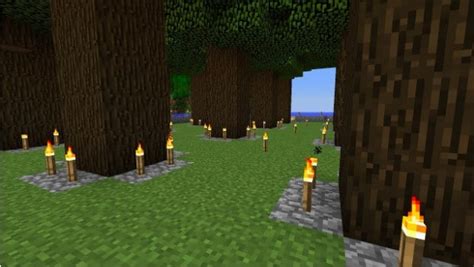 How to Grow Dark Oak Trees in Minecraft | WePC