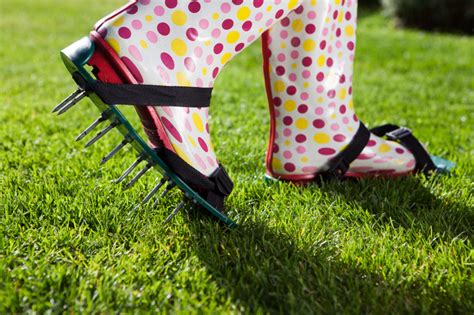 Aeration: Backyard Lawn Care | Blain's Farm & Fleet Blog