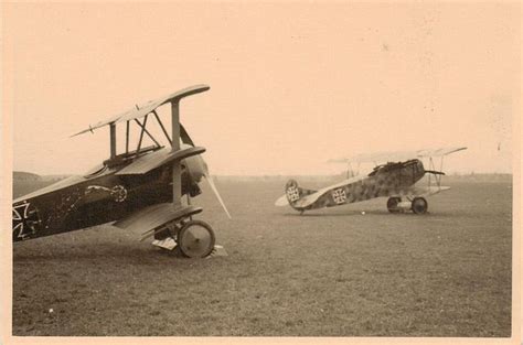 Fokker DR 1 with Fokker DVII, Germany's principal 1918 fighters, with the former largely ...