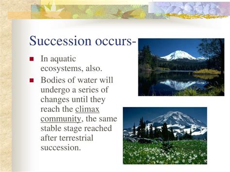 PPT - Aquatic Succession PowerPoint Presentation, free download - ID:6834813