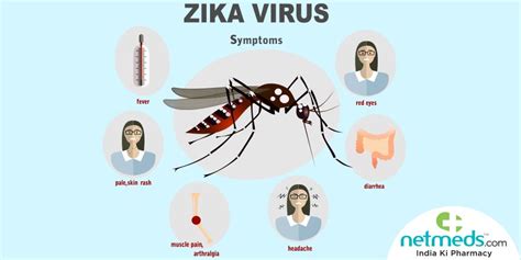 Zika Virus Disease: The Causes, Symptoms And Treatment Of This Mosquito ...