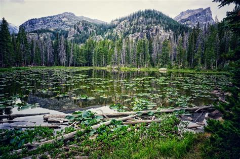 Starting Your Hike At Bear Lake Trailhead in Rocky Mountain National Park