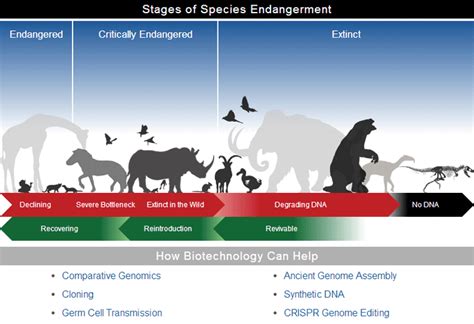 De-Extinction: Who, How, When, And Why