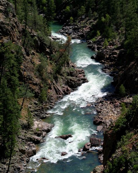 Upper Animas River Rafting - CO Whitewater Rafting | Mild to Wild